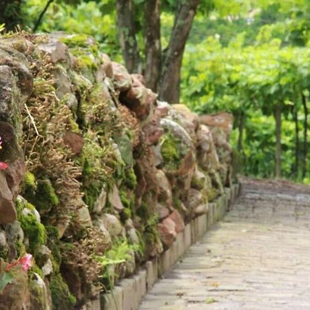 本图贡萨尔维斯Casa Vigneto Octavio No Vale Dos Vinhedos别墅 外观 照片