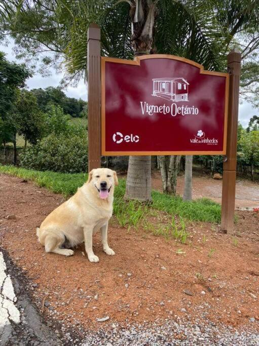 本图贡萨尔维斯Casa Vigneto Octavio No Vale Dos Vinhedos别墅 外观 照片