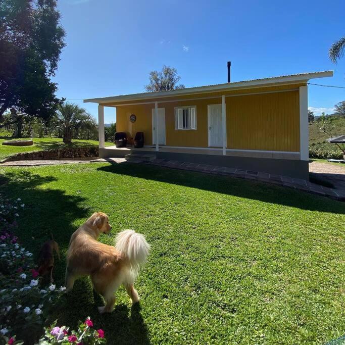 本图贡萨尔维斯Casa Vigneto Octavio No Vale Dos Vinhedos别墅 外观 照片