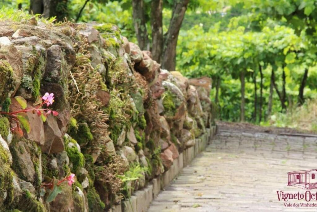 本图贡萨尔维斯Casa Vigneto Octavio No Vale Dos Vinhedos别墅 外观 照片