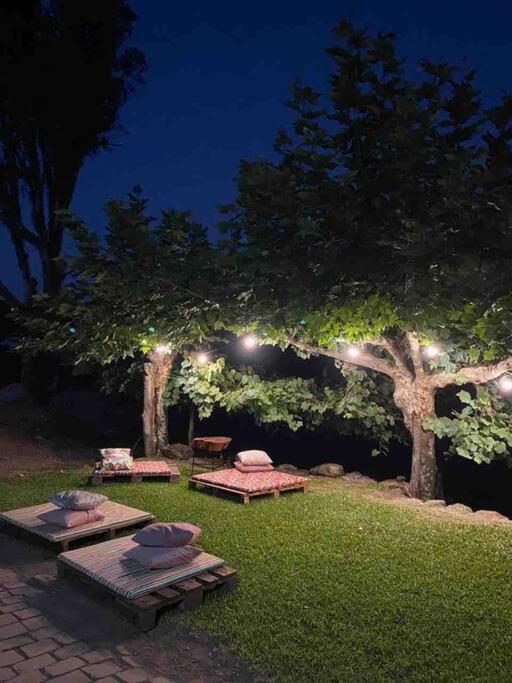 本图贡萨尔维斯Casa Vigneto Octavio No Vale Dos Vinhedos别墅 外观 照片