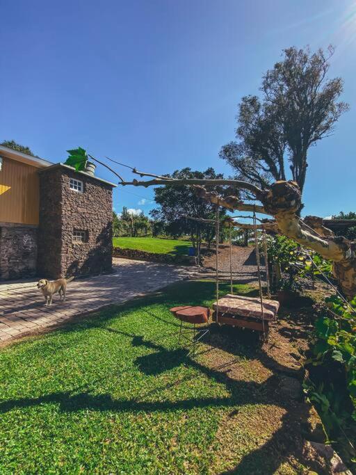 本图贡萨尔维斯Casa Vigneto Octavio No Vale Dos Vinhedos别墅 外观 照片