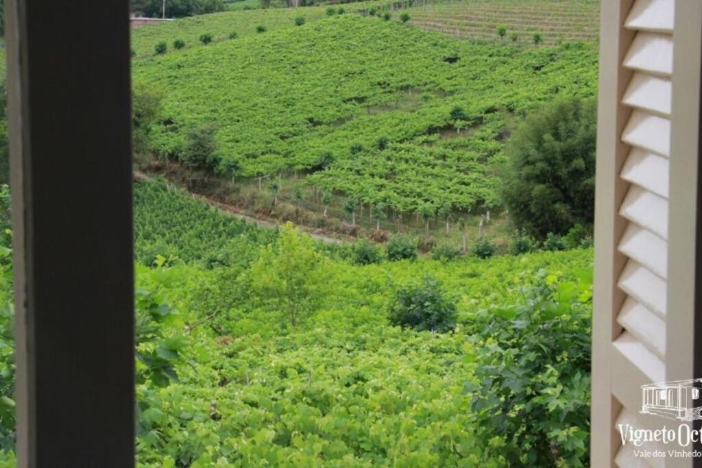 本图贡萨尔维斯Casa Vigneto Octavio No Vale Dos Vinhedos别墅 外观 照片